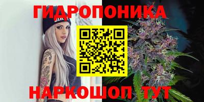 гидропоника Бугуруслан