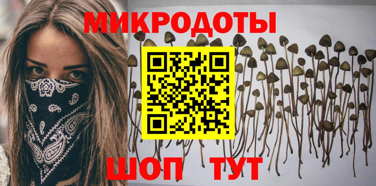 Галлюциногенные грибы мухоморы Кохма