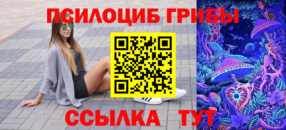 Кохма  Галлюциногенные грибы Psilocybine cubensis  Вход с VPN 